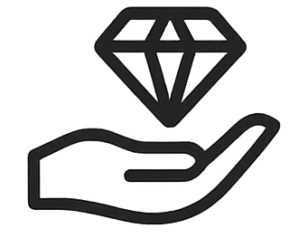 Licensed & Insured Professionals icon